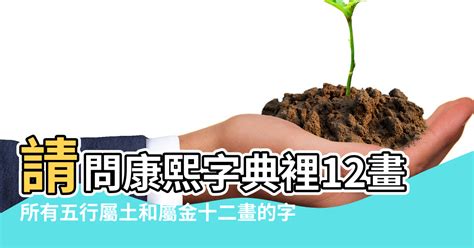 五行金的字|康熙字典五行屬金的字 共892個